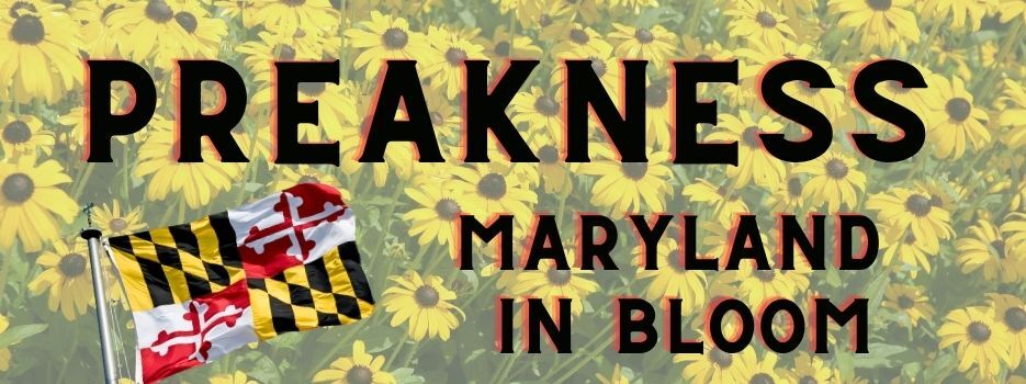 Preakness 