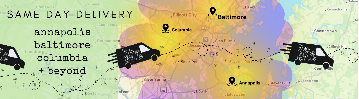 Delivery Service Area