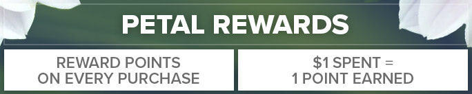 Reward Points Own Money On Each Purchase
