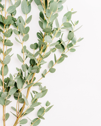 Bulk Blooms for DIY