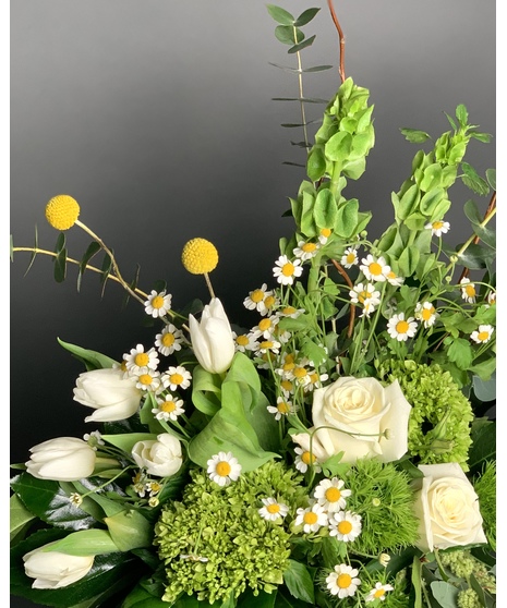 Lucky - White Green & Golden