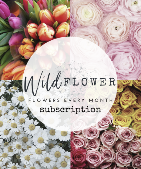 Monthly Subscription