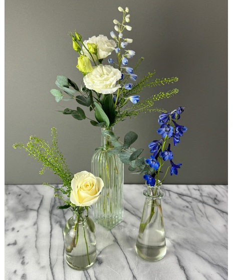 Seaglass - Bloom Bottles