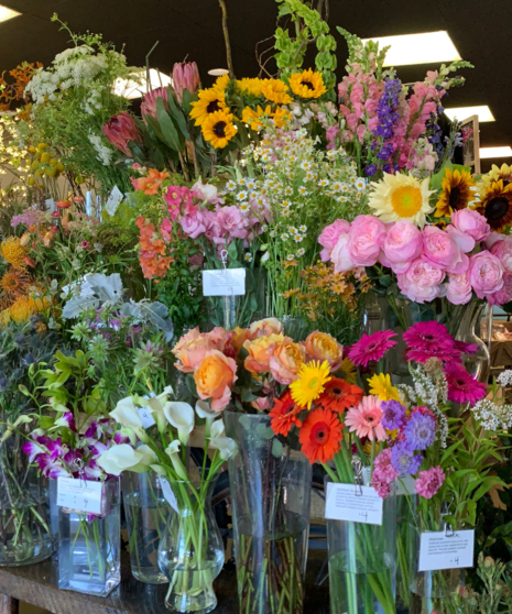 Just Because Flowers
