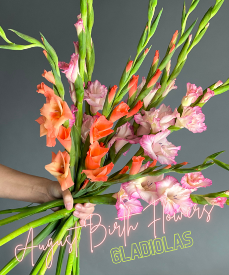 Birth Month Blooms - August