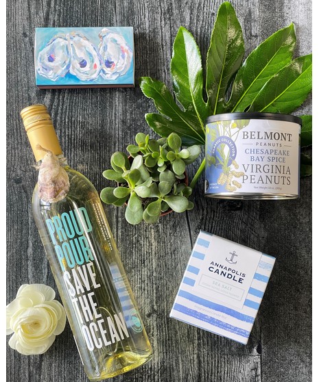 Bay Breeze + Succulent - Same Day Delivery Available