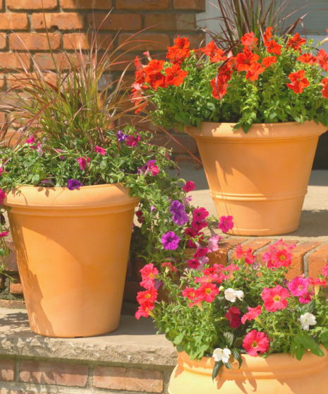 Mixed Porch Planter