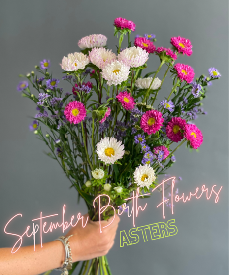 Birth Month Blooms - September