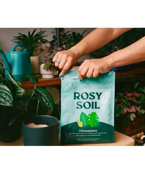 Bag of organic potting soil in resealable eco-friendly packaging for indoor plant care.