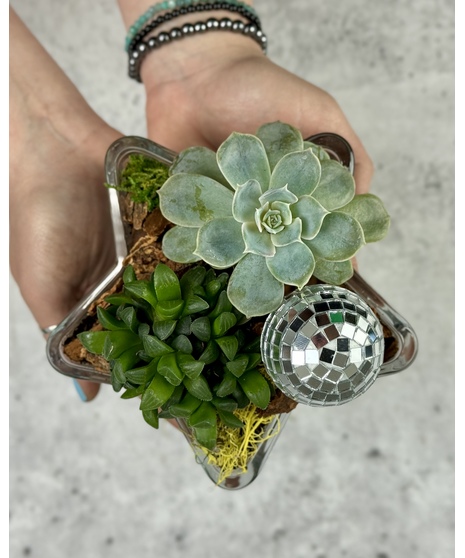 Green Plants
