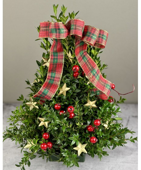 Tabletop Boxwood Tree