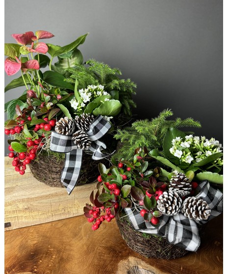 Holiday Garden