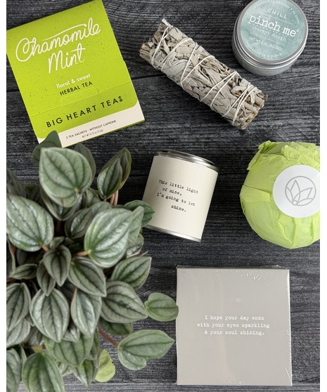 Sanity Crate + Plant