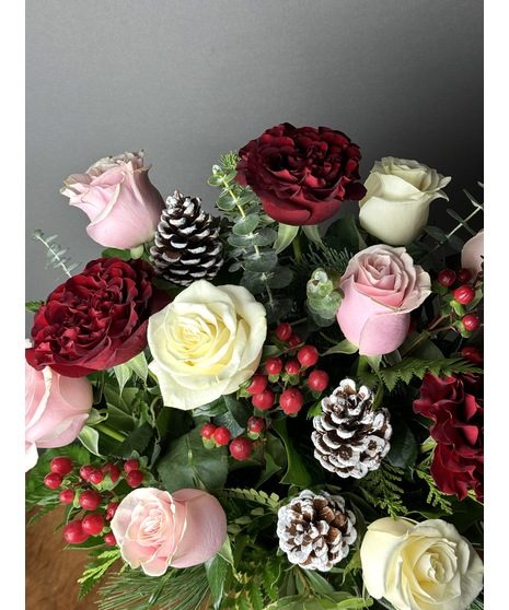 Christmas Roses