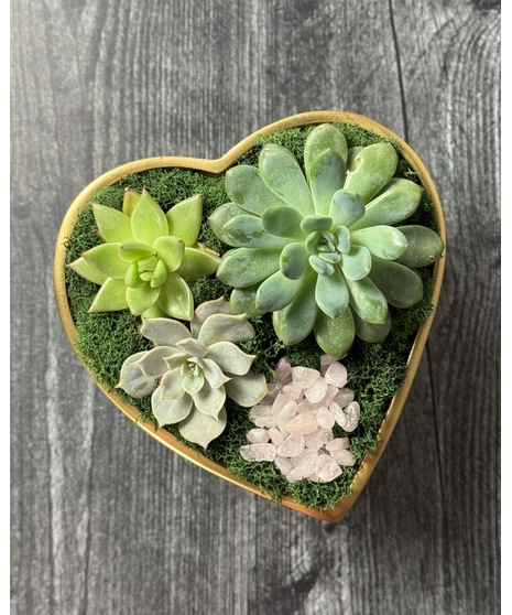 Heart of Gold
