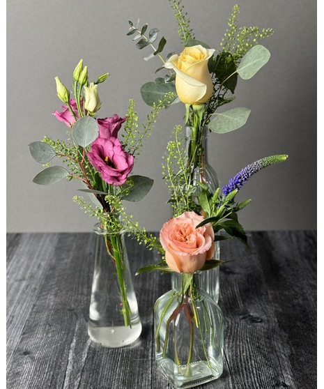 Bloom Bottles