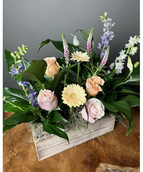A Peace Lily in a rustic wooden box, paired with fresh seasonal flowers, offering a combination of fleeting beauty and lasting tranquility.