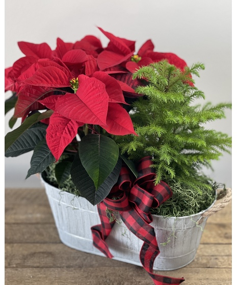 Holiday Homecoming
