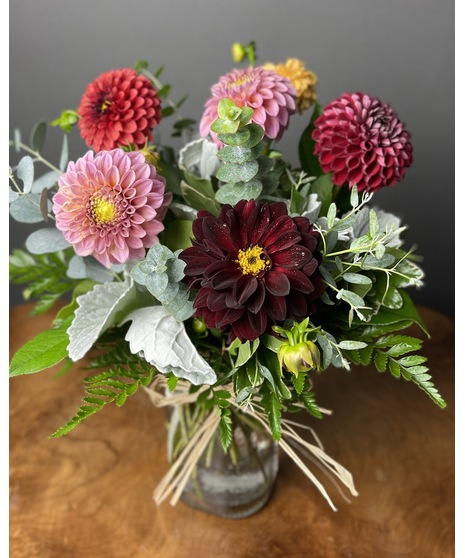 Dahlia Darling