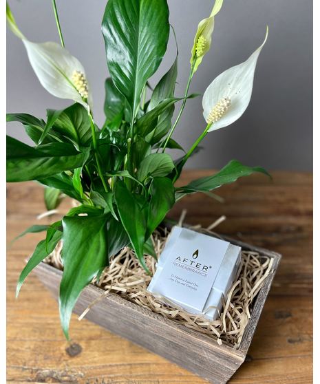 The After Candle - More Options Available