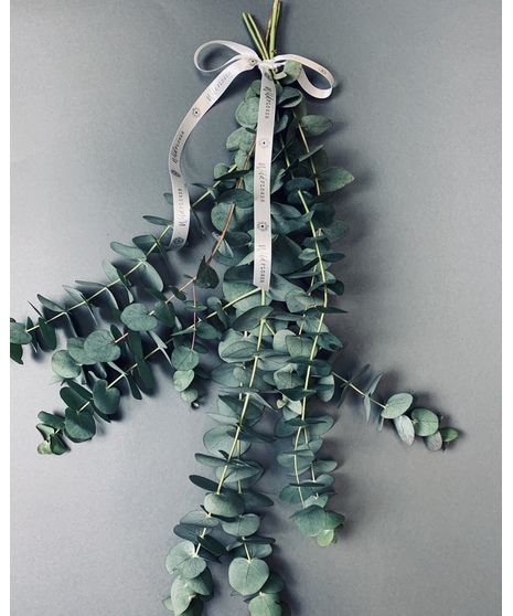 Shower Eucalyptus