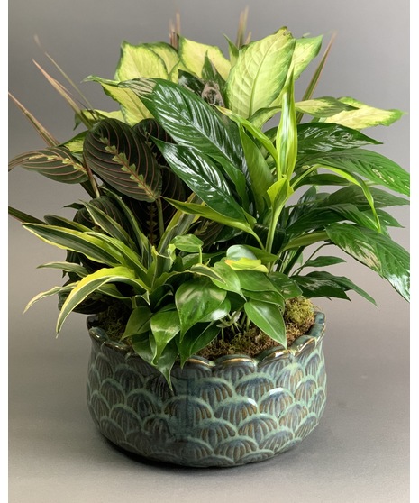 Indoor Garden Planter