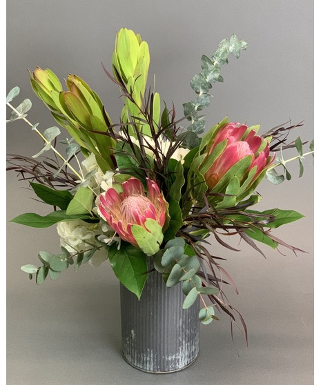 Protea Pop