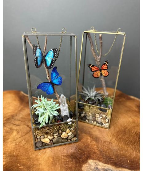 Enchanted Terrarium