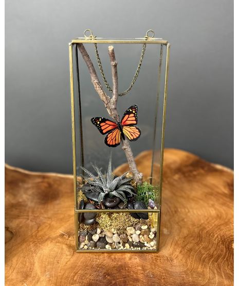 glass terrarium with succulent butterflies