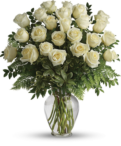 Simply White Roses
