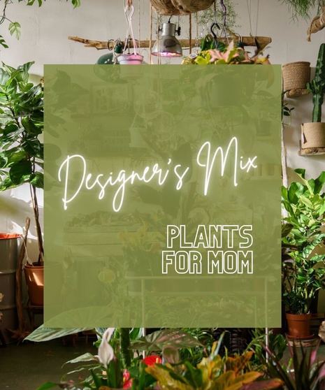 Mother's Day Plants