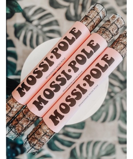 Mossi-Pole | Sphagnum Moss Pole