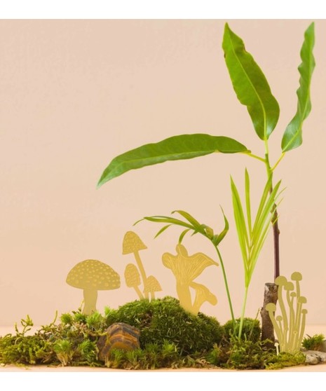Mini Mushroom - Plant/Terrarium Decor
