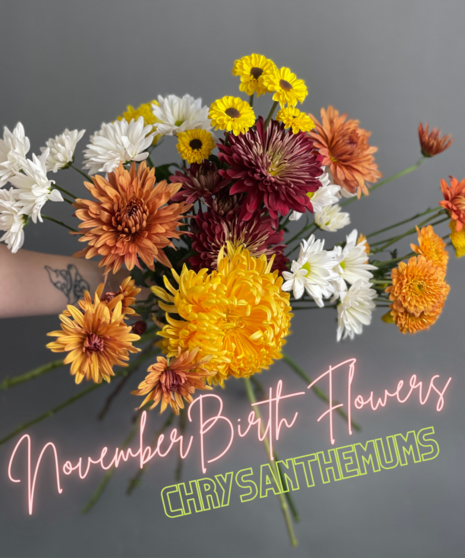 Birth Month Blooms - November
