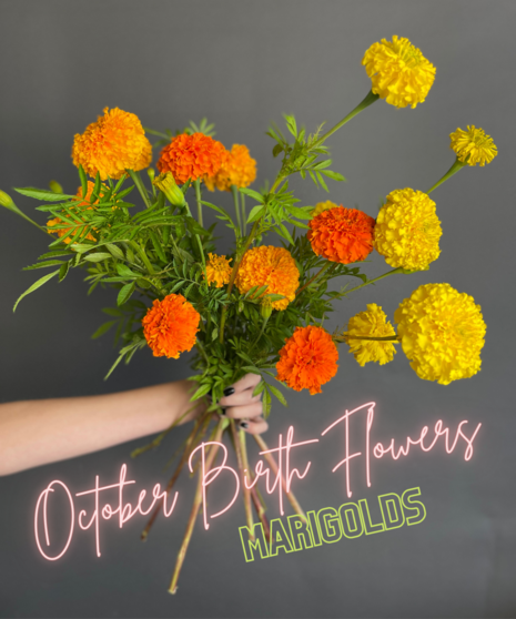 Birth Month Blooms - October