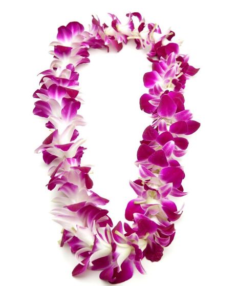 purple orchid lei