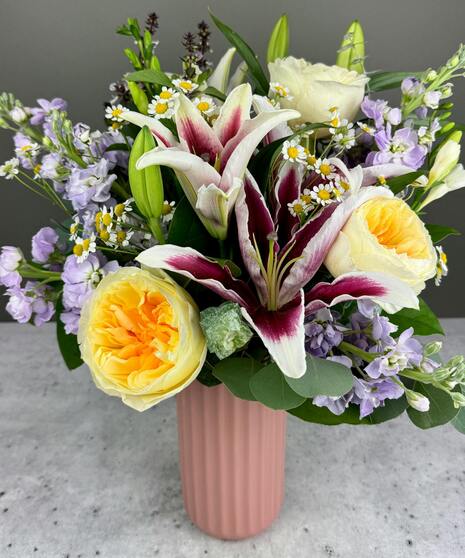 Scentsational - Fresh & Fragrant