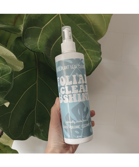 FOLIAR Clean & Shine | House Plant Leaf Cleanser