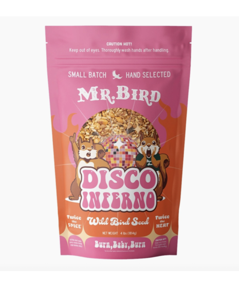 Disco Inferno - Wild Bird Seed