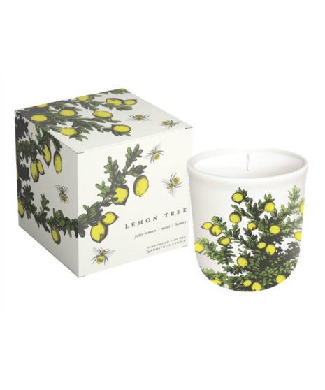 Glass soy candle with botanical lemon tree artwork, packaged in a matching illustrated box.