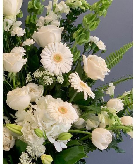 Babies Breath, Annapolis - Glen Burnie (MD) Bulk Flowers Delivered