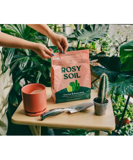 Bag of organic potting soil in resealable eco-friendly packaging for indoor plant care.