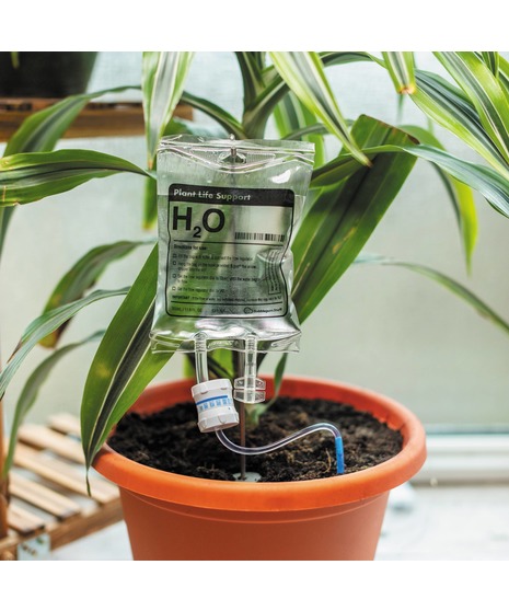 PLANT LIFE SUPPORT - Houseplant Watering Device