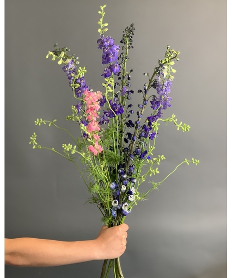 Bulk Larkspur