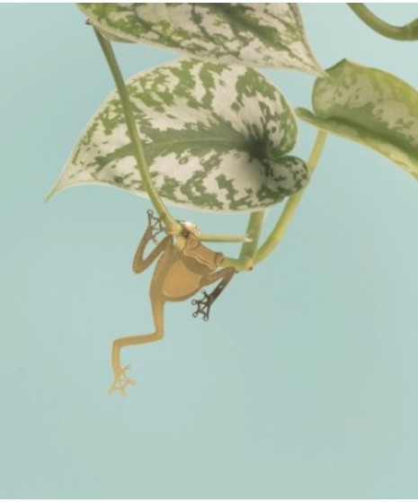house plant decorations