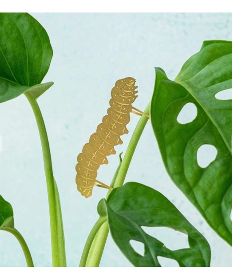 Plant Animals - House plant decorations