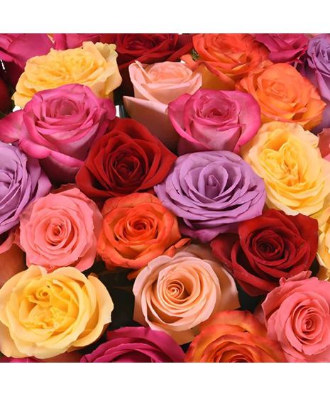 Bulk Colored Roses