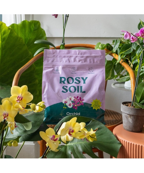 Bag of organic potting soil in resealable eco-friendly packaging for indoor plant care.