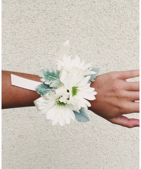 white daisies on greenery background
